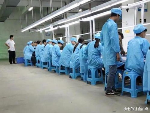 在深圳過年的別樣體驗(yàn) 技術(shù)交流合作的機(jī)遇